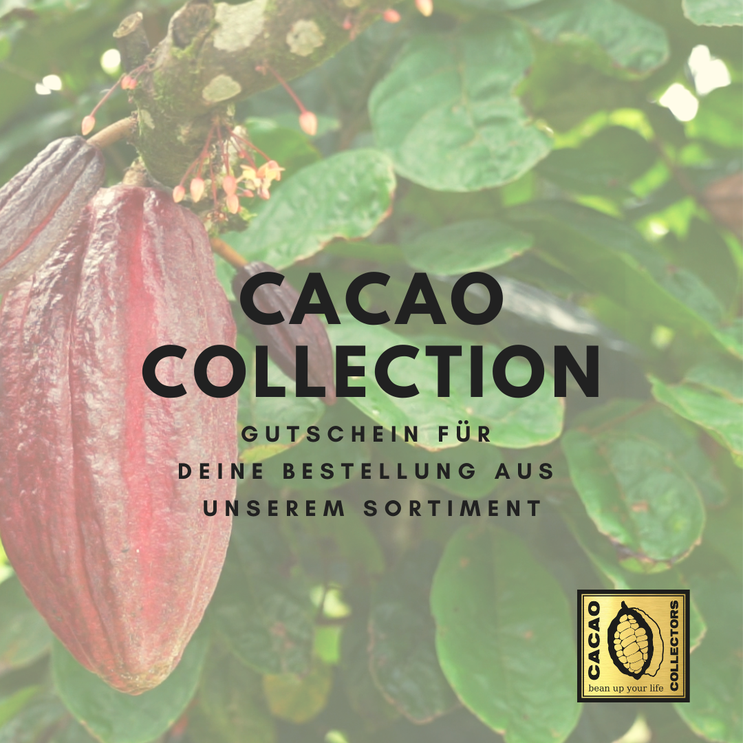 Gutschein für Cacao Collection